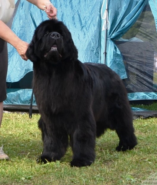 Фотография № 128626