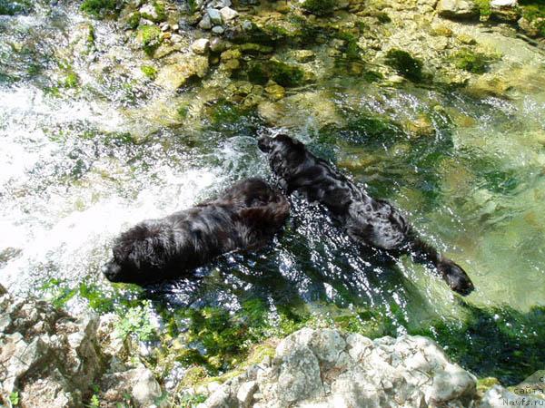 Фотография № 12864