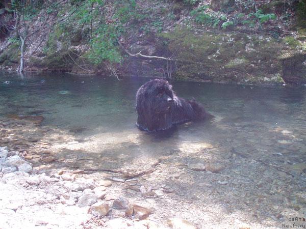 Фотография № 12866