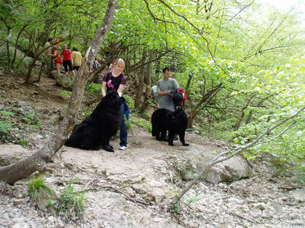 Фотография № 12867