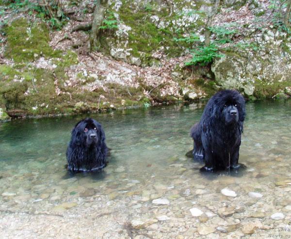 Фотография № 12869