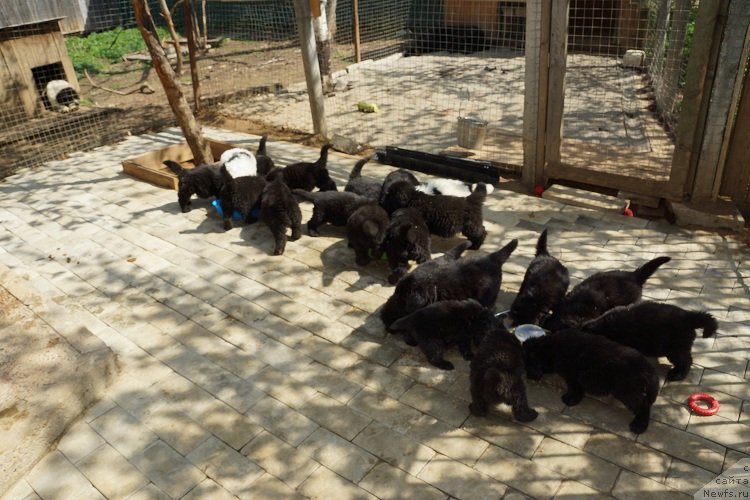 Фотография № 128711