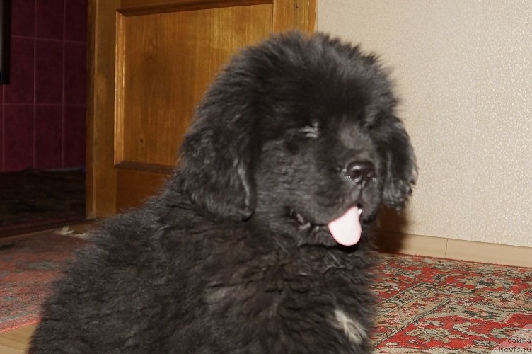 Фотография № 128713