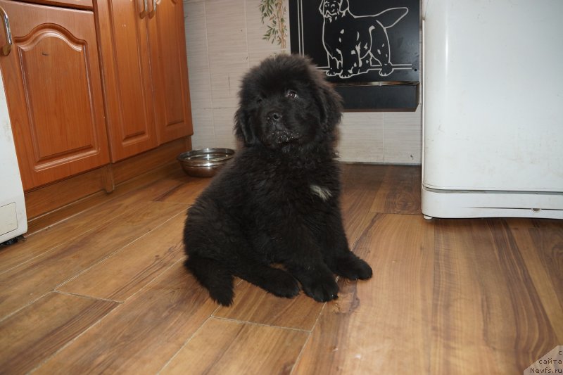 Фотография № 128714