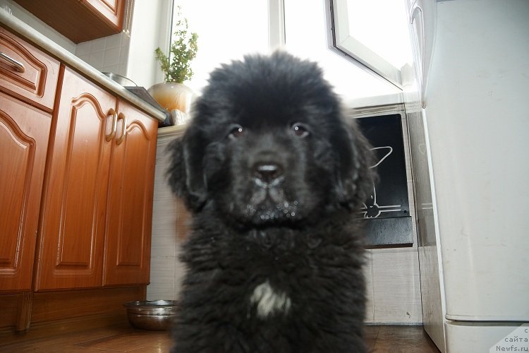 Фотография № 128715