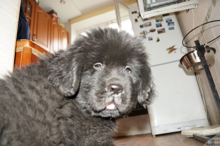 Фотография № 128718