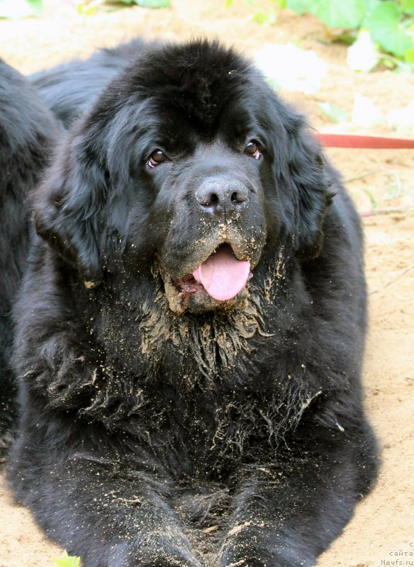 Фотография № 128726