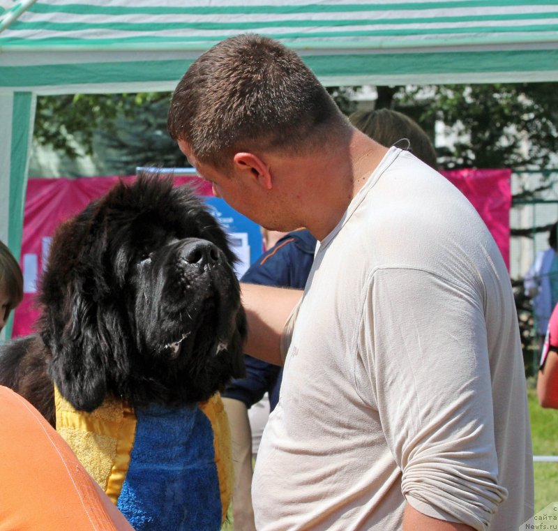 Фотография № 128730