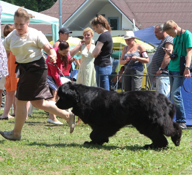 Фотография № 128731