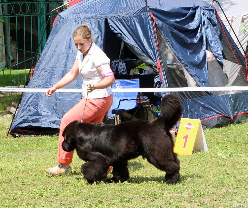 Фотография № 128733