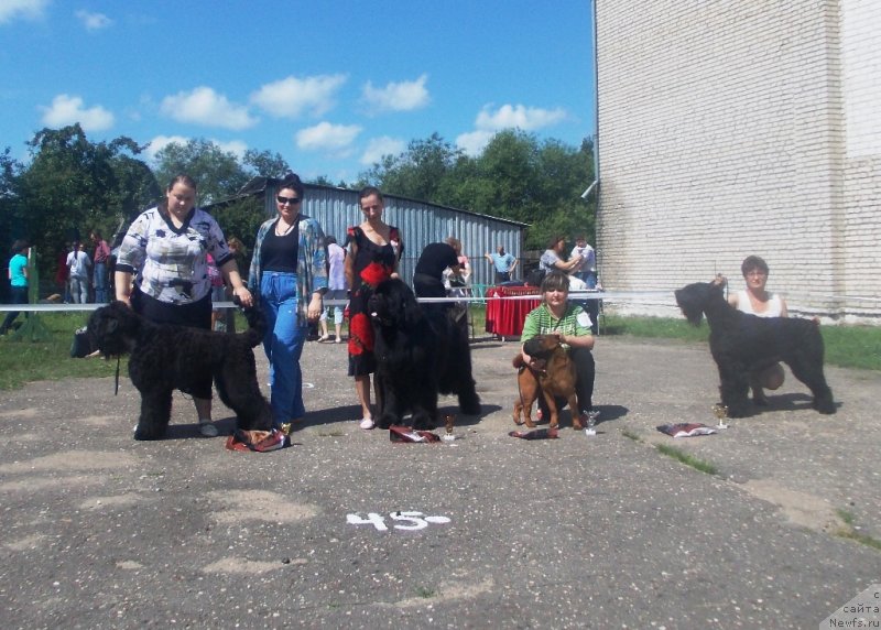 Фотография № 128767