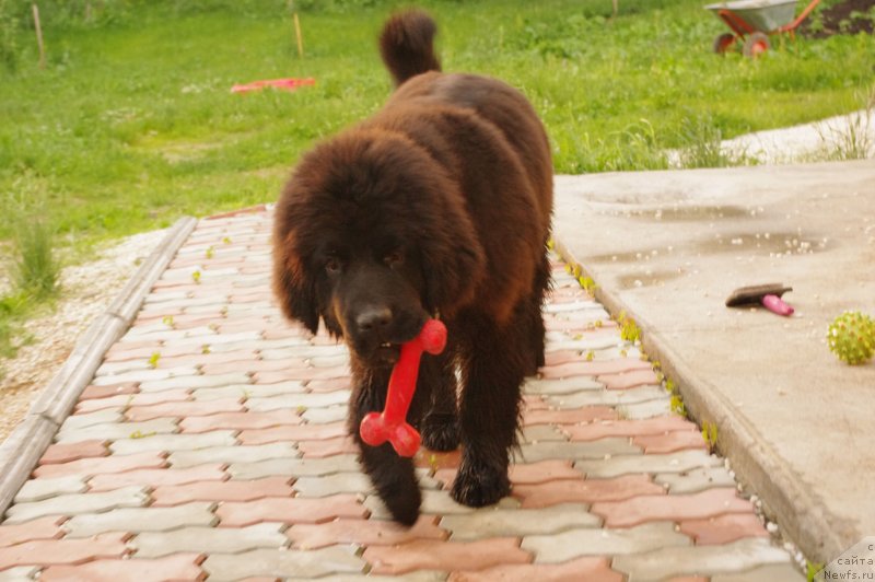 Фотография № 128796