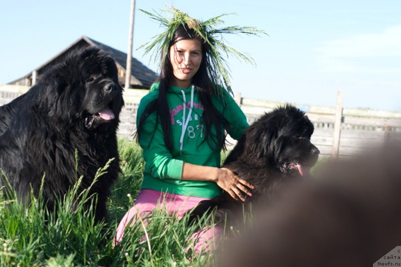 Фото: ньюфаундленд King of Helluland I'm Precious, ньюфаундленд N'yufort Carica Nochi (Ньюфорт Царица Ночи), Veronika Batina (Вероника Батина)