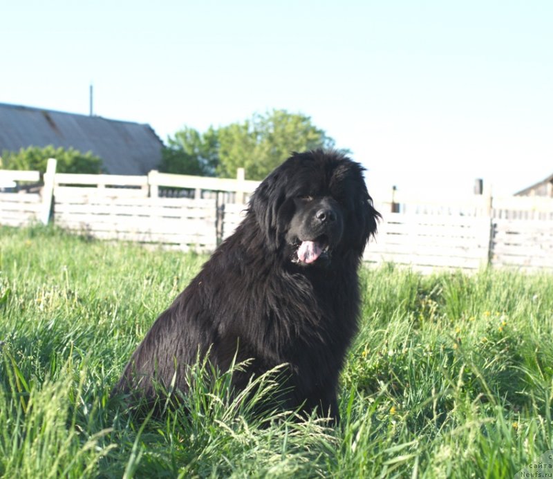 Фотография № 128804