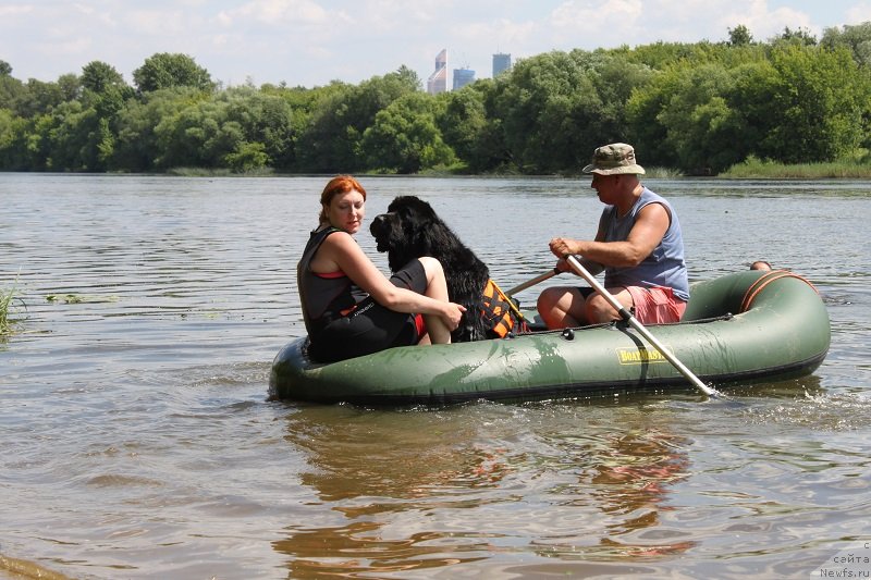 Фотография № 128841