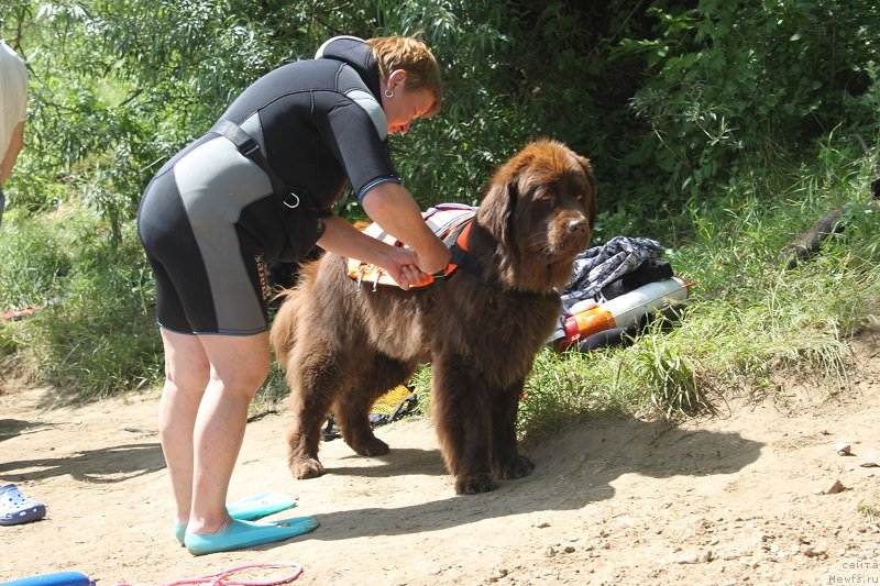 Фотография № 128845