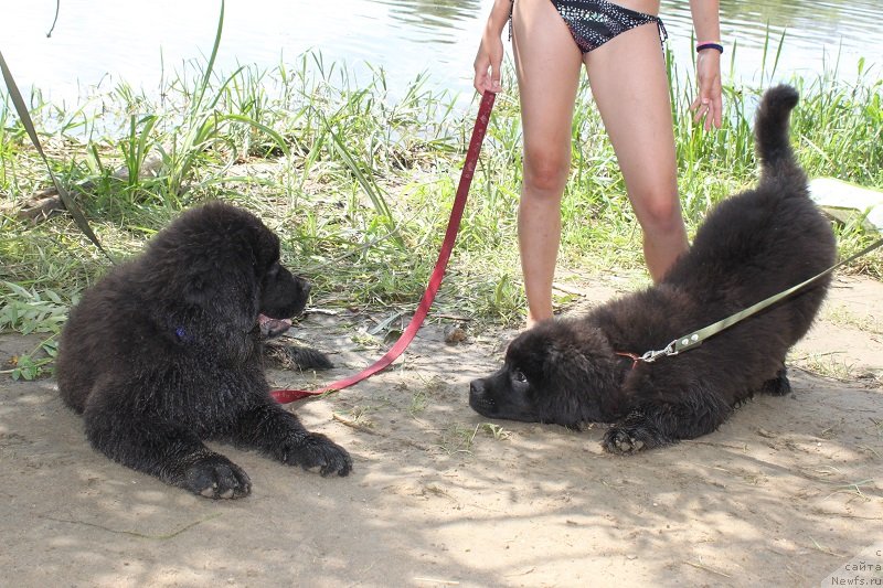 Фотография № 128847