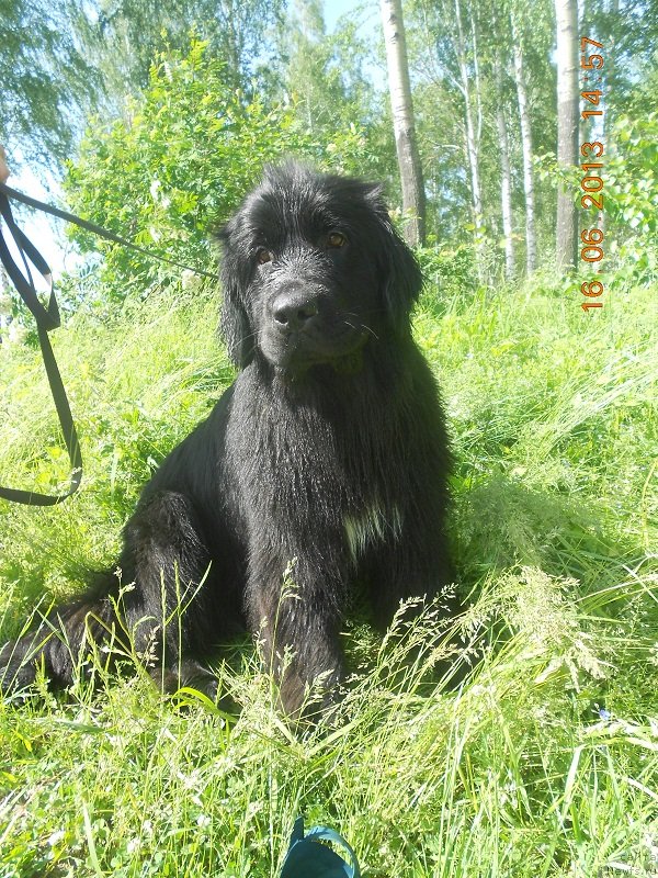 Фотография № 128850