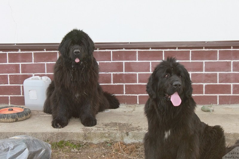 Фотография № 128855