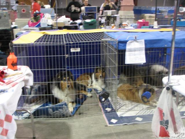 Фотография № 12887