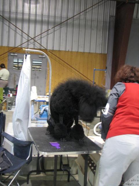 Фотография № 12888