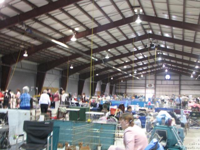 Фотография № 12889