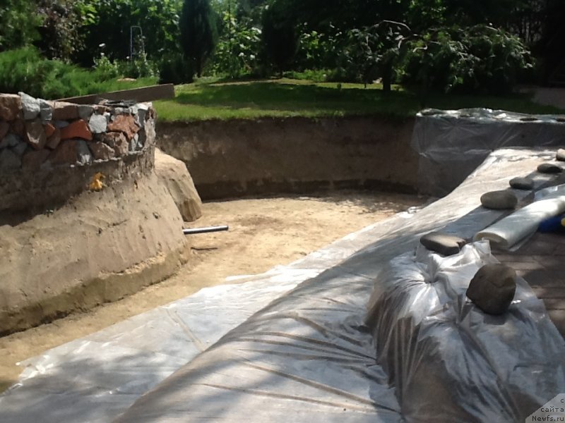 Фотография № 128899