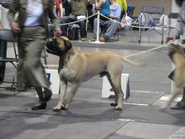 Фотография № 12890