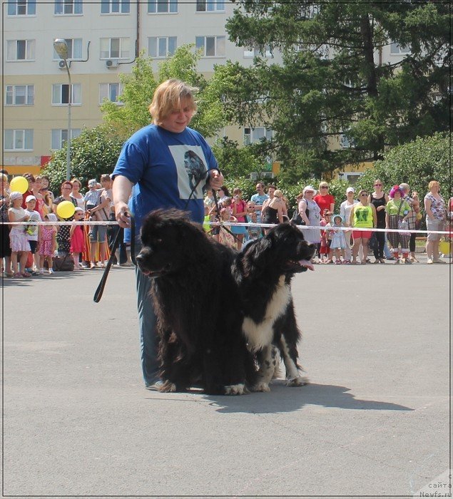 Фотография № 128956