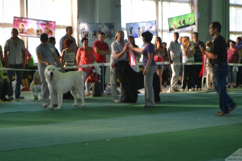 Фотография № 128960