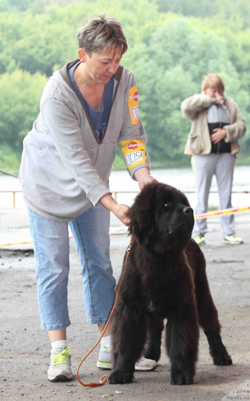 Фотография № 128972