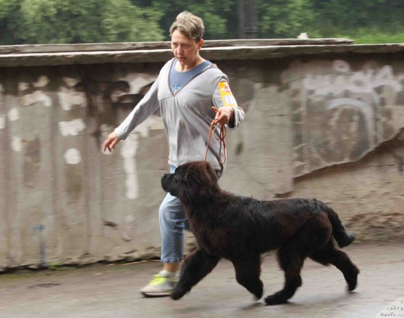 Фотография № 128975