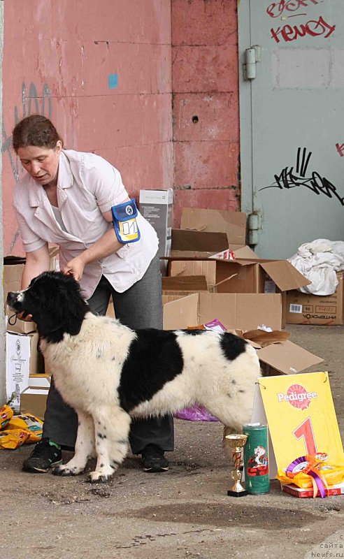 Фотография № 128984