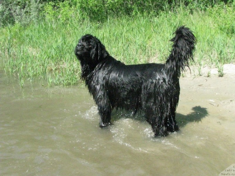 Фотография № 128992