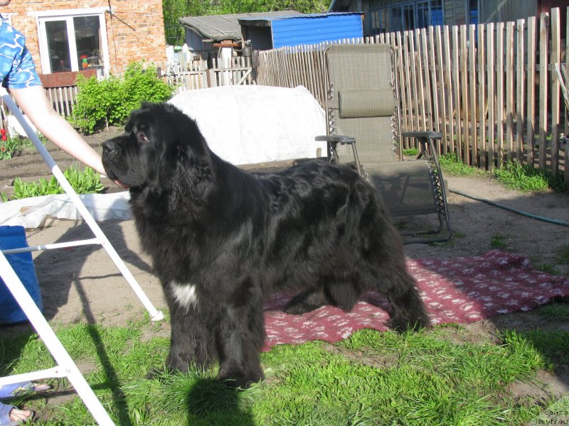 Фотография № 128994