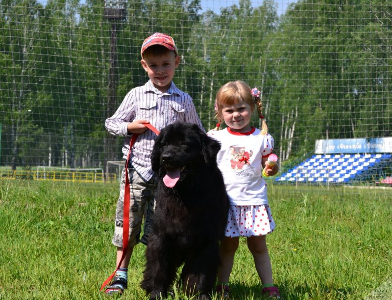 Фотография № 129006