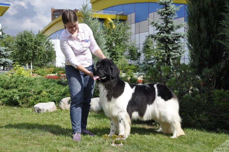 Фотография № 129066