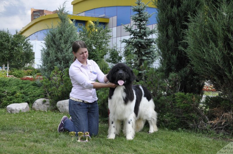 Фотография № 129071