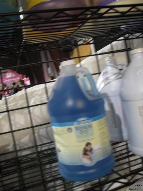 Фотография № 12908