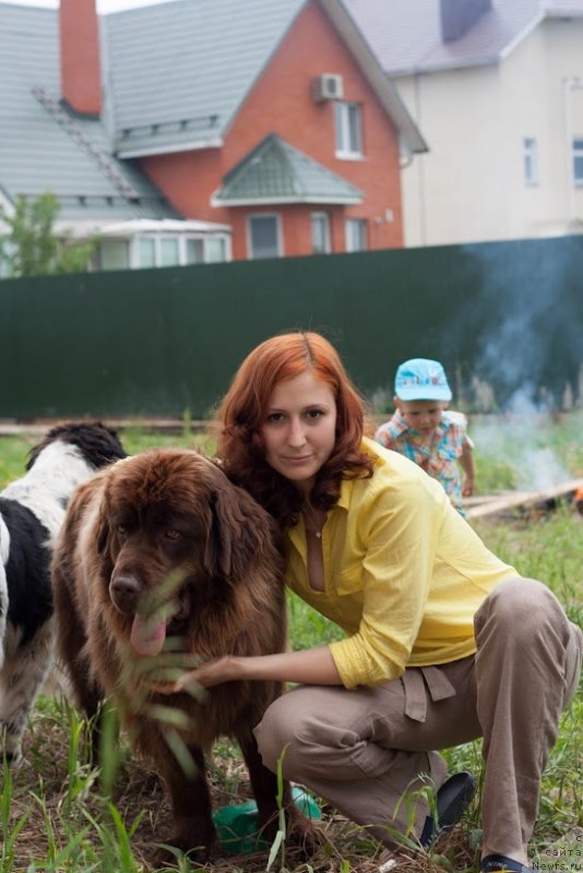 Фото: ньюфаундленд Van Len Taym Jenev'eva (Ван Лен Тайм Женевьева)