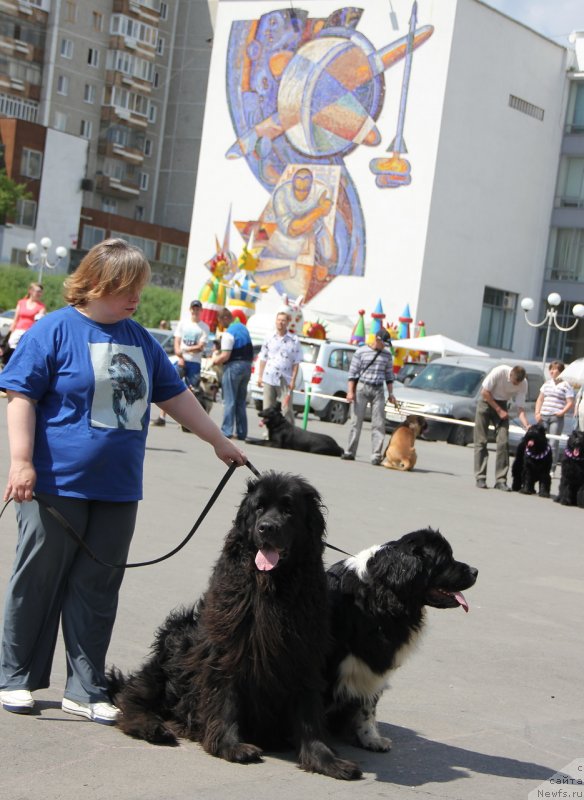 Фото: Ol'ga Skumatenko (Ольга Скуматенко), Тимофеюшка, ньюфаундленд Super Bizon Gera (Супер Бизон Гера)