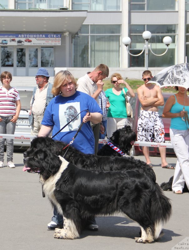 Фото: Ol'ga Skumatenko (Ольга Скуматенко), Тимофеюшка, ньюфаундленд Super Bizon Gera (Супер Бизон Гера)