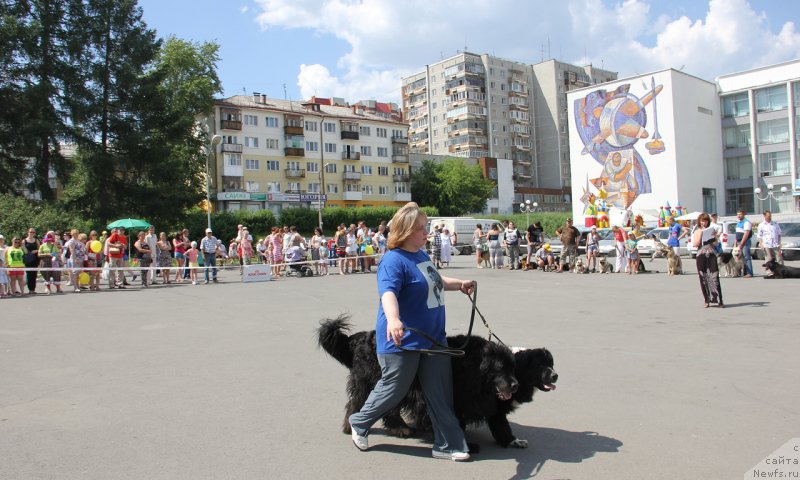 Фото: Ol'ga Skumatenko (Ольга Скуматенко), Тимофеюшка, ньюфаундленд Super Bizon Gera (Супер Бизон Гера)
