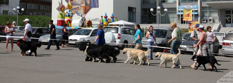 Фото: Ol'ga Skumatenko (Ольга Скуматенко), Тимофеюшка, ньюфаундленд Super Bizon Gera (Супер Бизон Гера)
