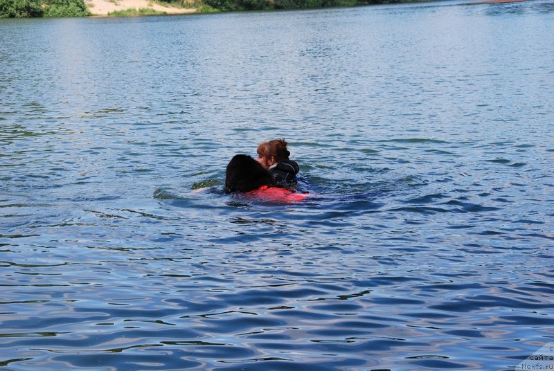 Фотография № 129102