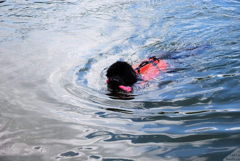 Фотография № 129104