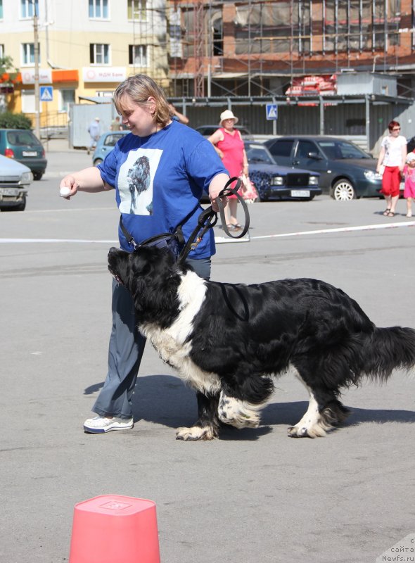 Фотография № 129116