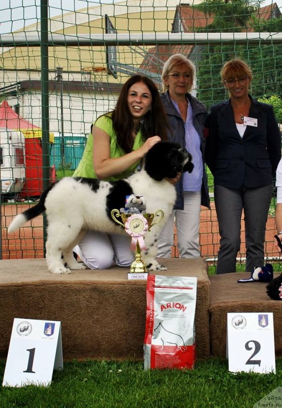 Фотография № 129133