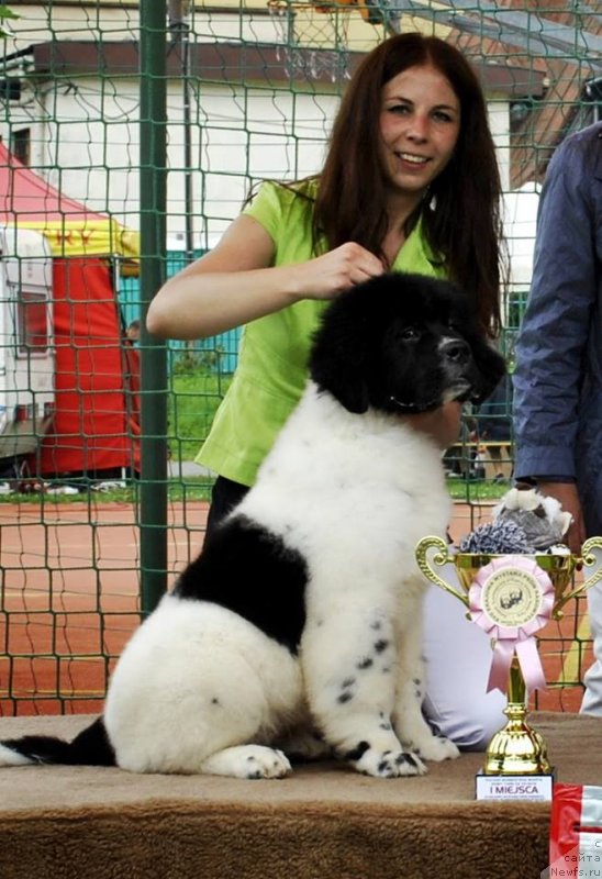 Фотография № 129134