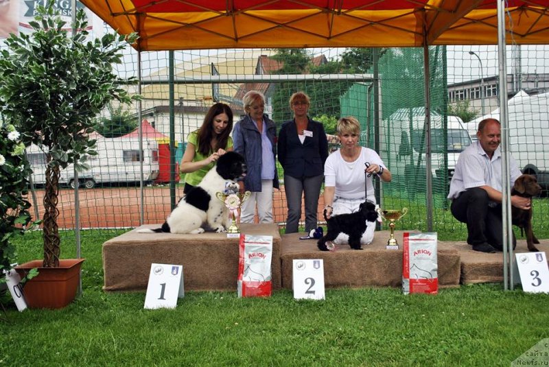 Фотография № 129135